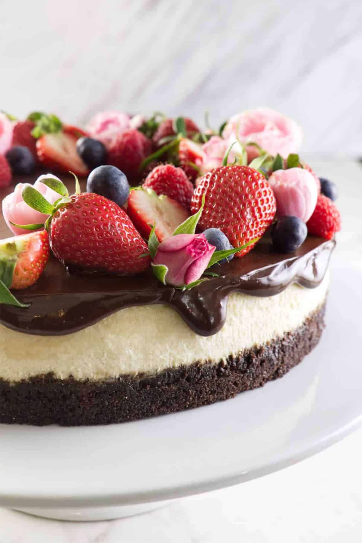 Strawberries and blueberries studding the edge of a ganache covered vanilla cheesecake.