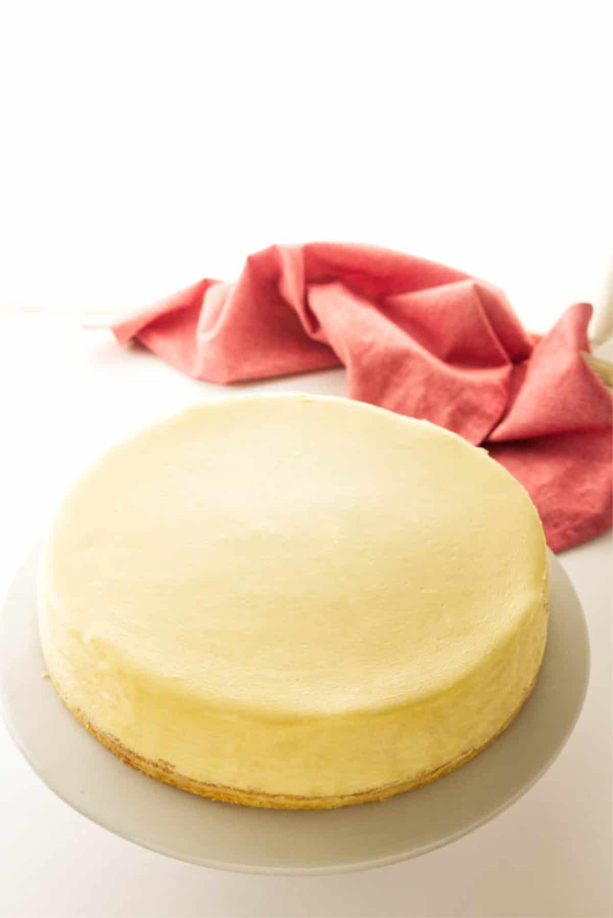 creamy, perfectly smooth topped cheesecake.