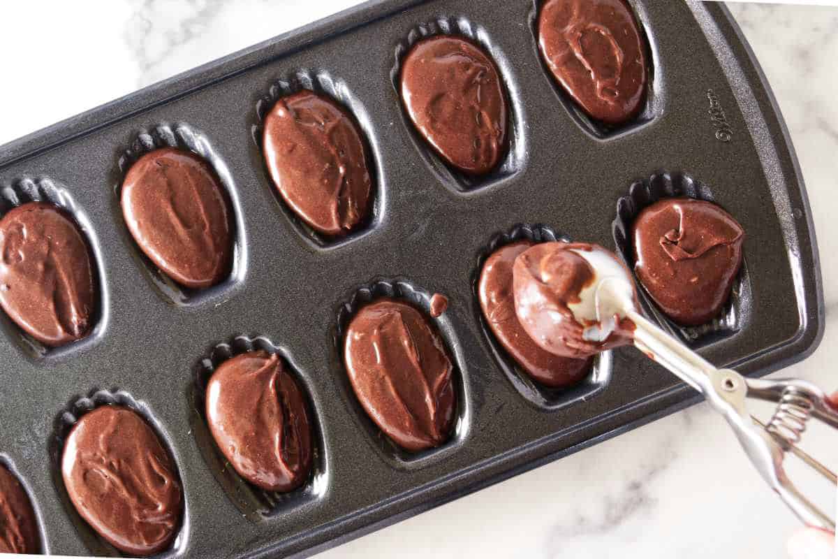 scoops of chocolate batter added to a madeleines pan.