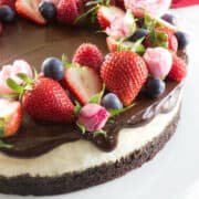 Strawberries and blueberries studding the edge of a ganache covered vanilla cheesecake.